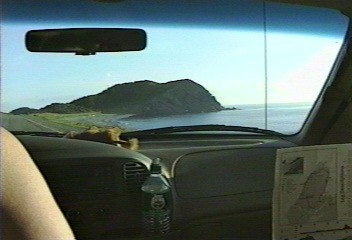 More Scenery Pic's.